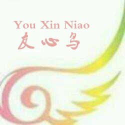 友心鸟鞋业200508