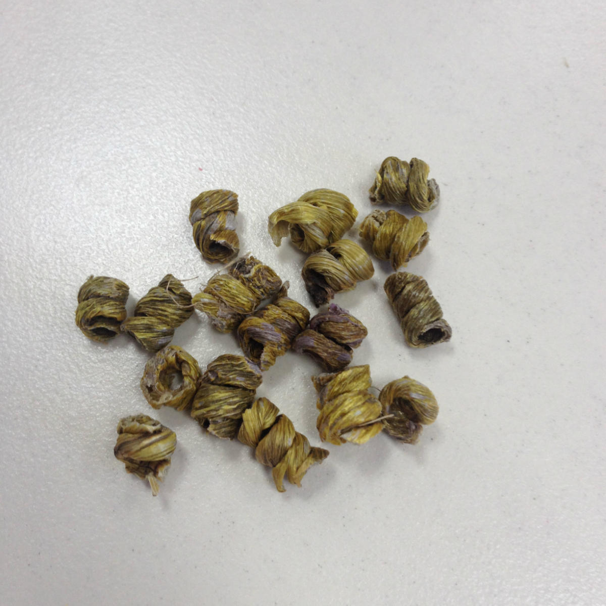 DOGNE小卖部200428