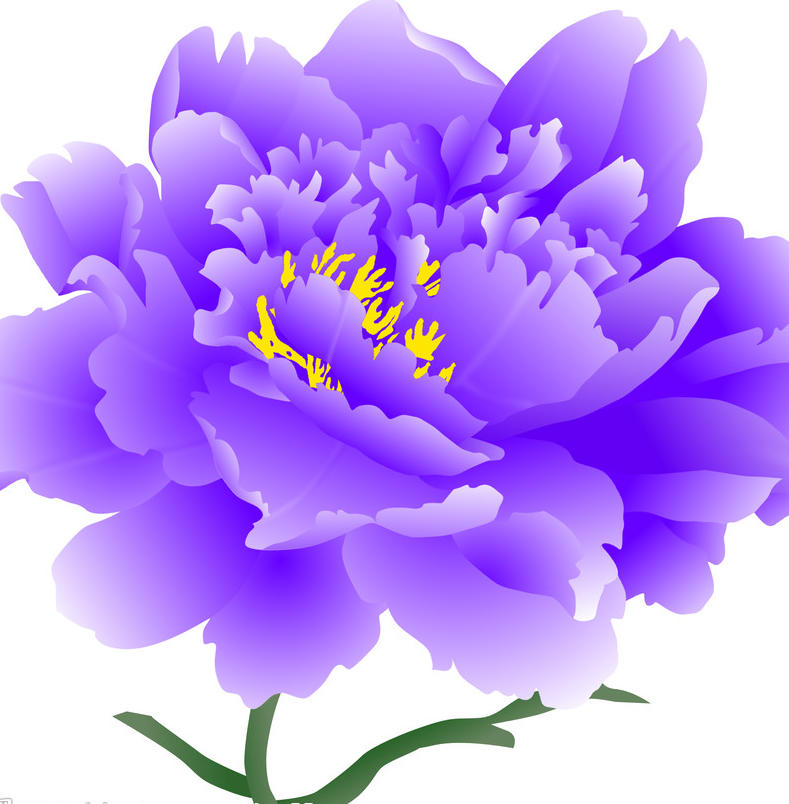 世界牡丹之都161011