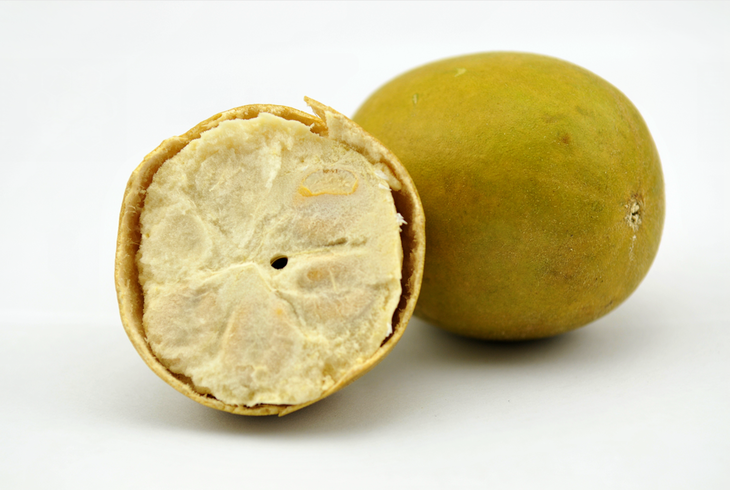 ޺ ʹװ