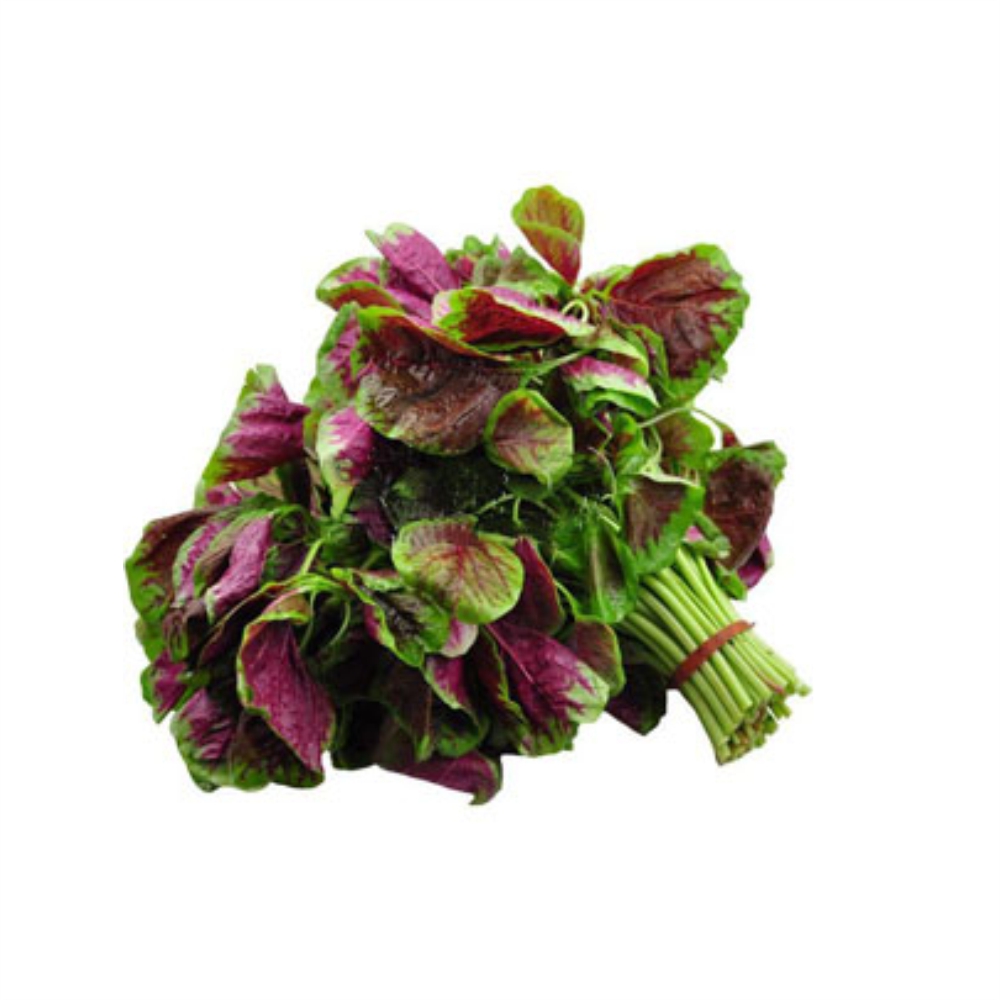 红苋菜(优质)|【斤】 又称汗菜,带根,茎粗壮,叶中呈紫红色,江西产