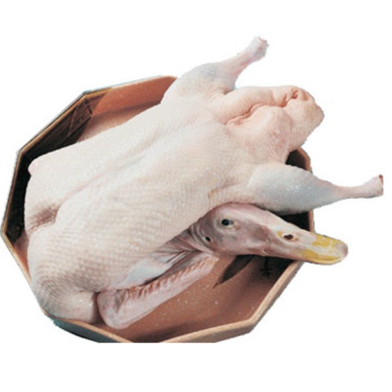 ʹѼƶȥ,ÿֻԼ5-5.5(ʵΪ