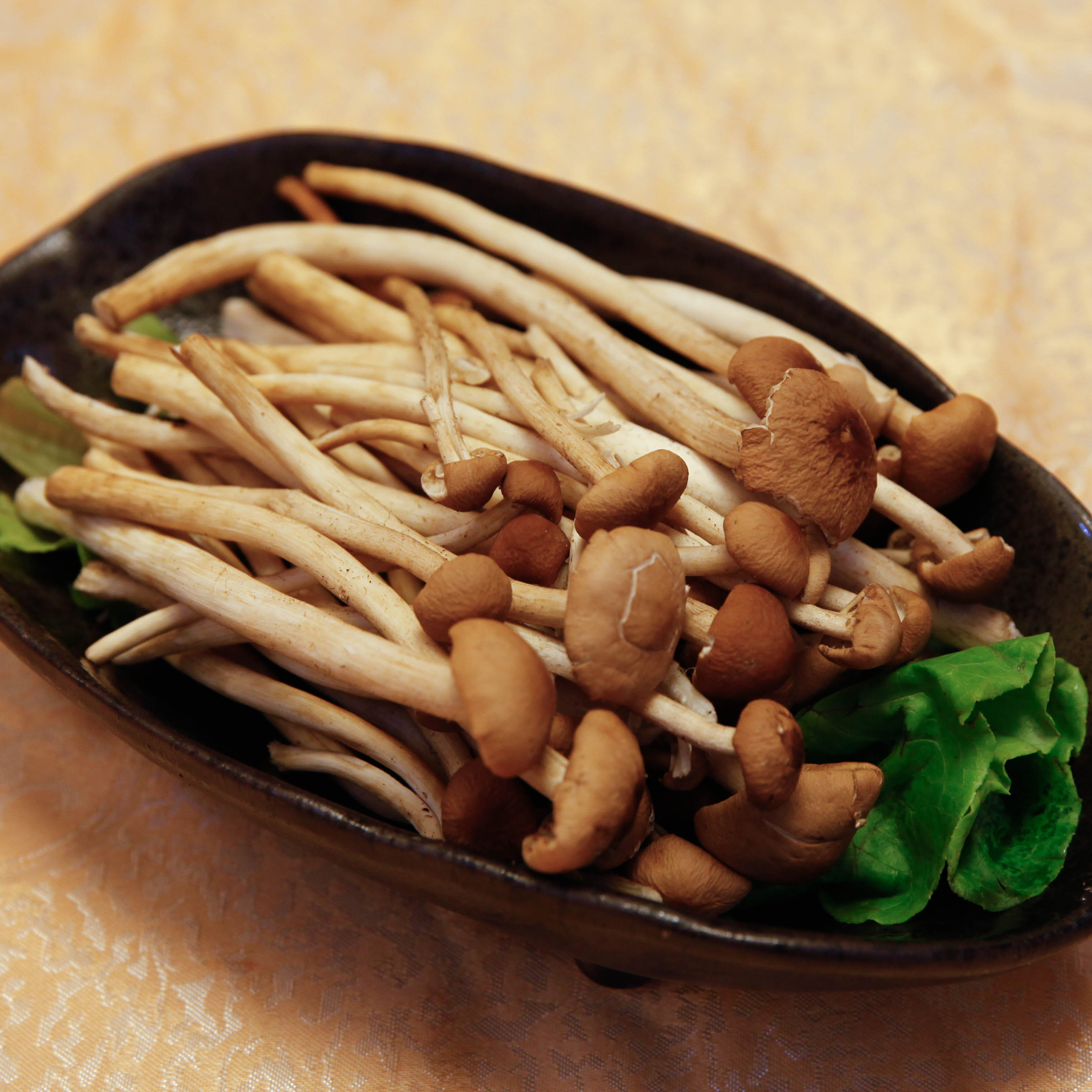 茶树菇