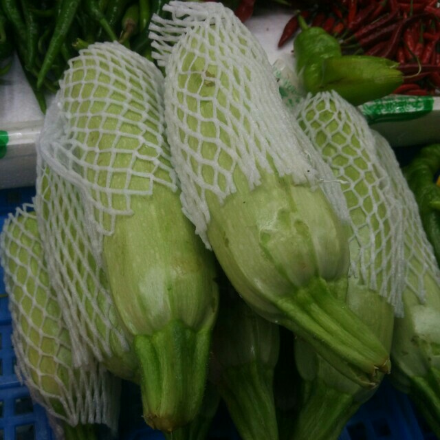 小瓜