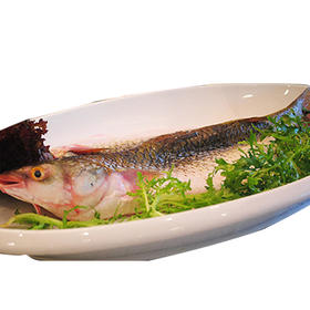 支鱼(约1.2斤)