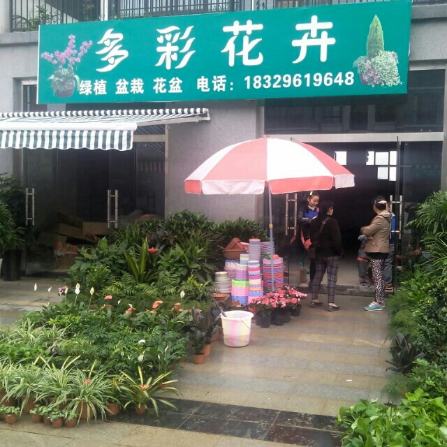 勉县多彩花卉