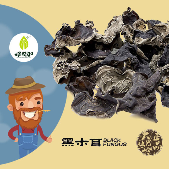 东北黑木耳 特级黑木耳长白山特产干货正宗无根黑木耳