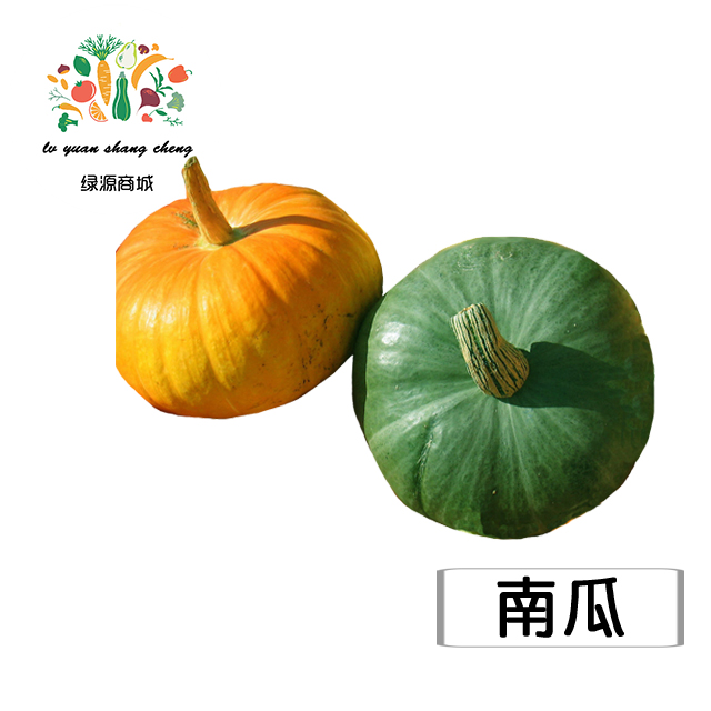 南瓜,窝瓜