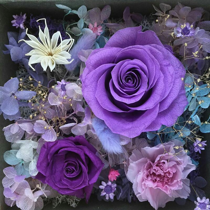 七夕特别 - 珠宝玫瑰花盒 - 紫色 - 紫气东来 .花盒尺寸为14*14*11.