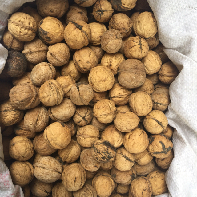 马尔康本地核桃 个儿不大但吃起来香 500g