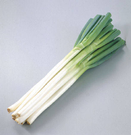 东北大葱
