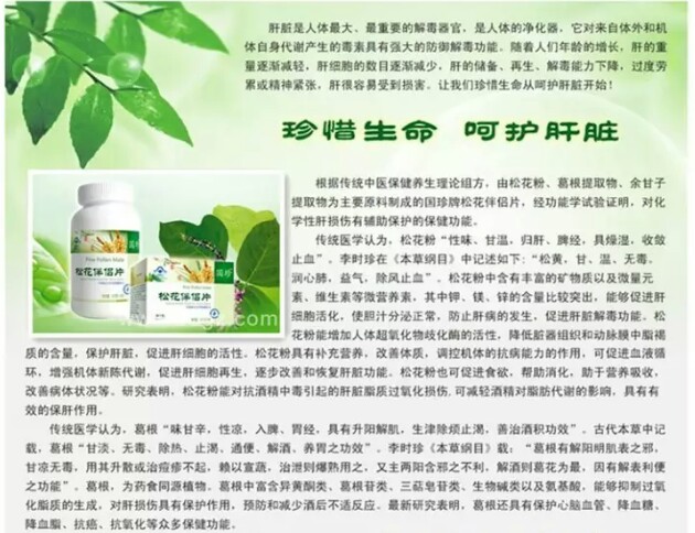 【单品】国珍牌松花伴侣片 保护肝脏 刻不容缓