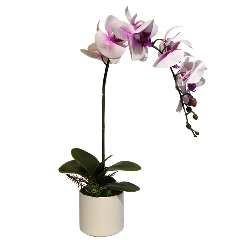 白色蝴蝶兰艺术盆花,插花摆件,仿真花,花艺,家庭装饰品