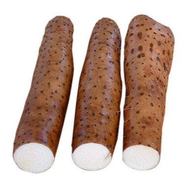 108淮山 约500克/份