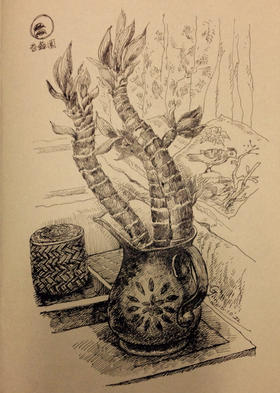 钢笔彩铅装饰画