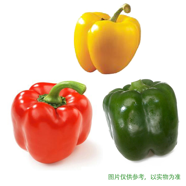 红圆椒/ 青圆椒/ 黄圆椒/ (新鲜净菜)