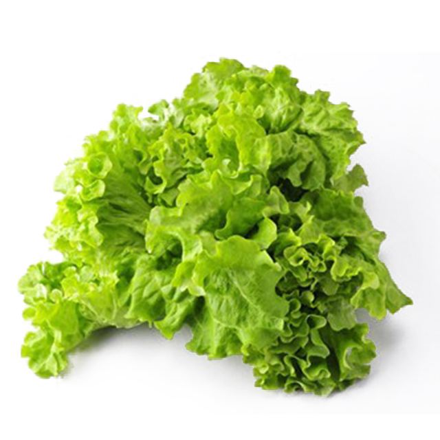 分享 支付: 微信支付银行卡商品详情 产地:城阳 生菜(花叶)营养分析
