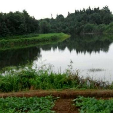 樟树农家门前特色土产200508