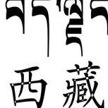 西藏特产毛毛店200508