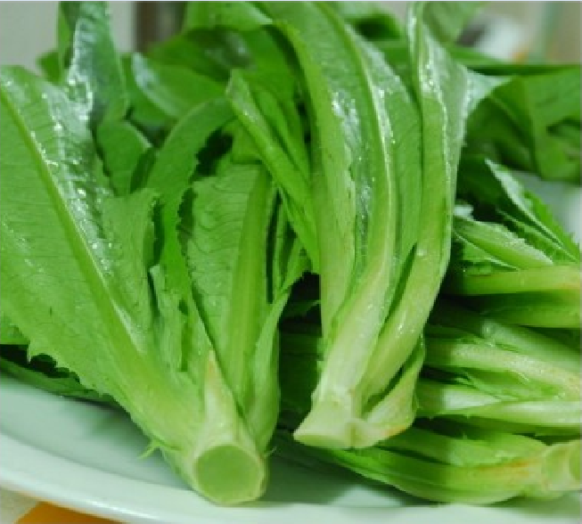 油麦菜 - 孝感市橘子洲头