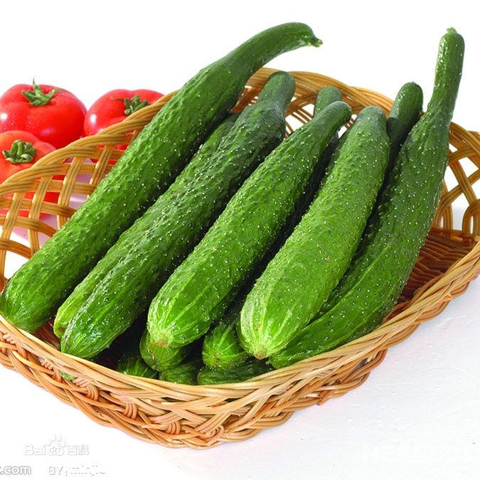 黄瓜,(学名 i>cucumis sativus /i> linn,英文名cucumber),葫芦科黄瓜