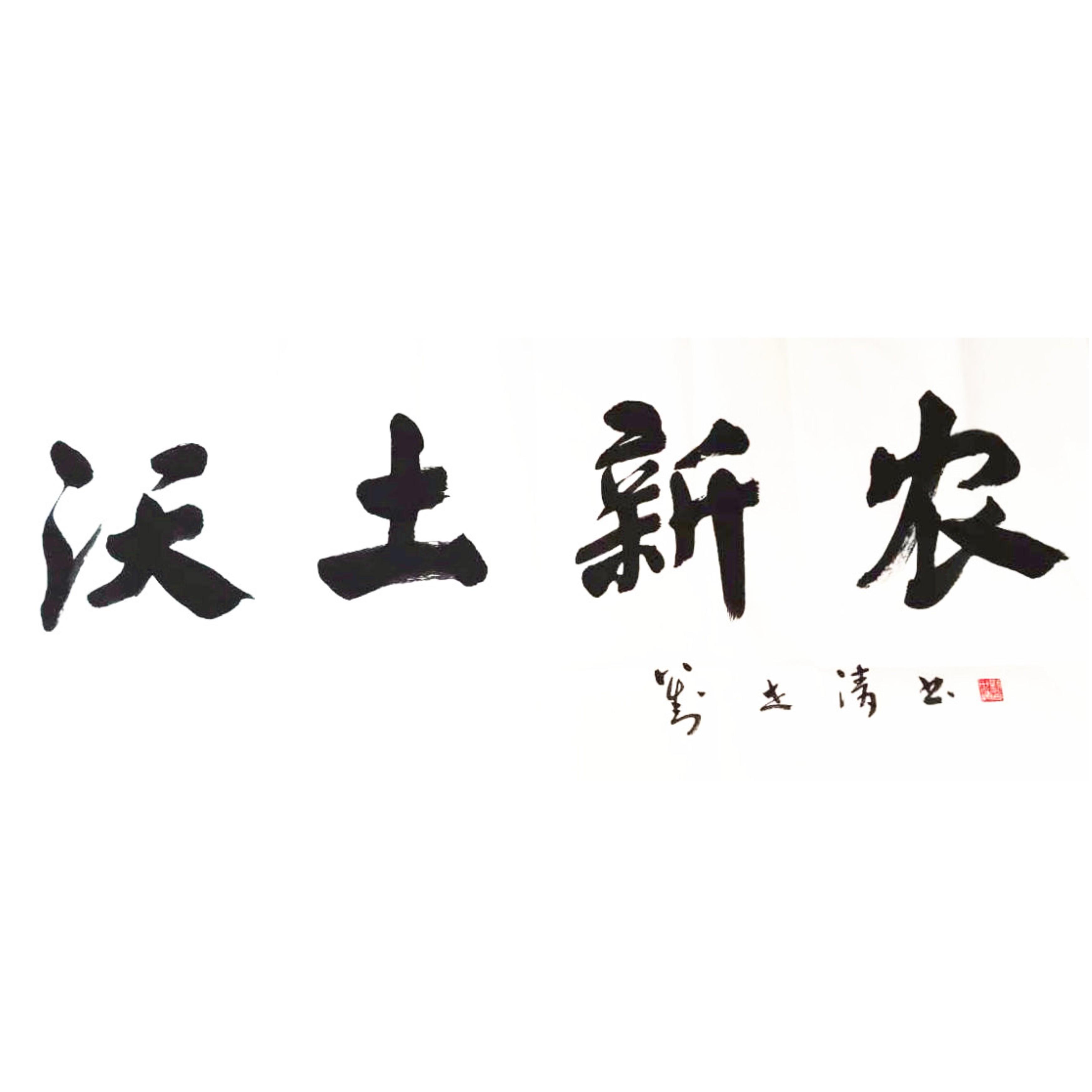丢窝窝