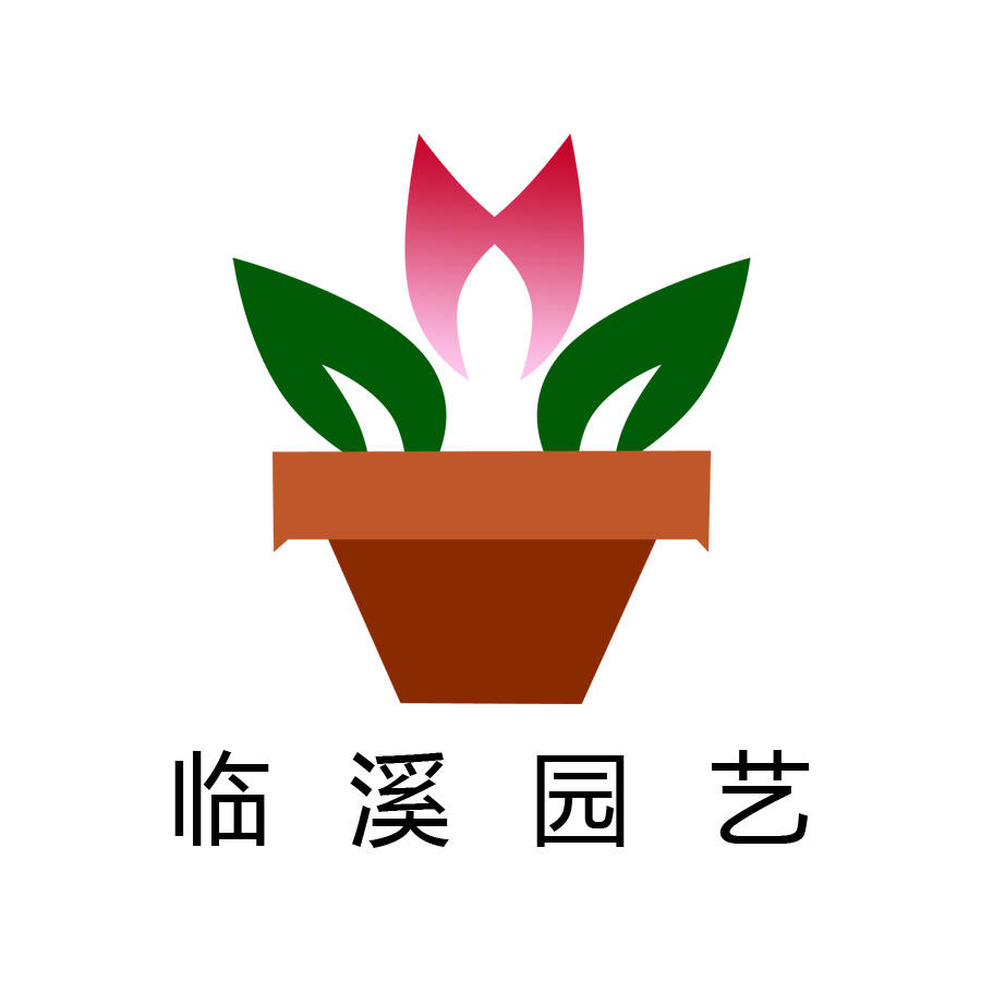 临溪多肉微商城200509