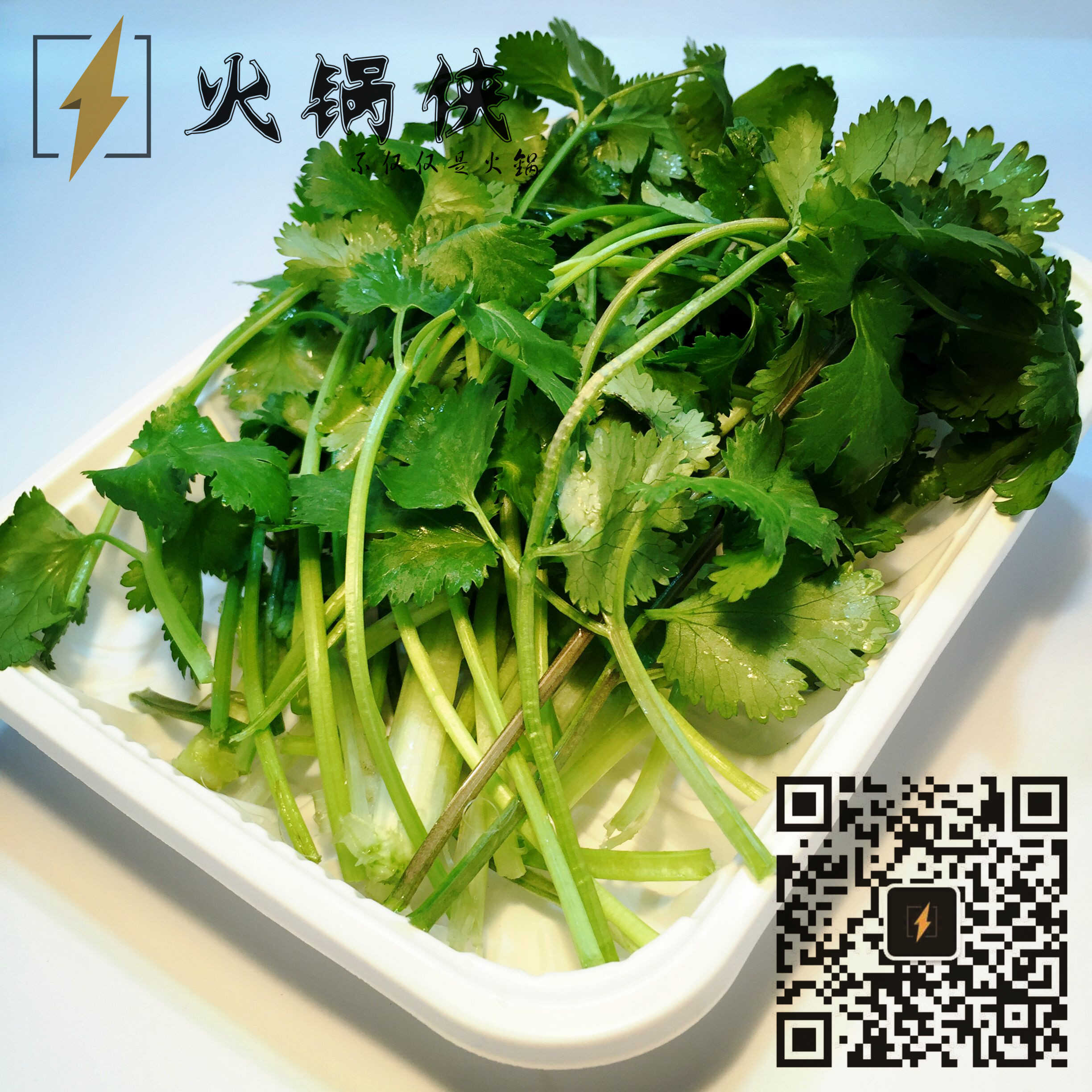 火锅配菜-香菜