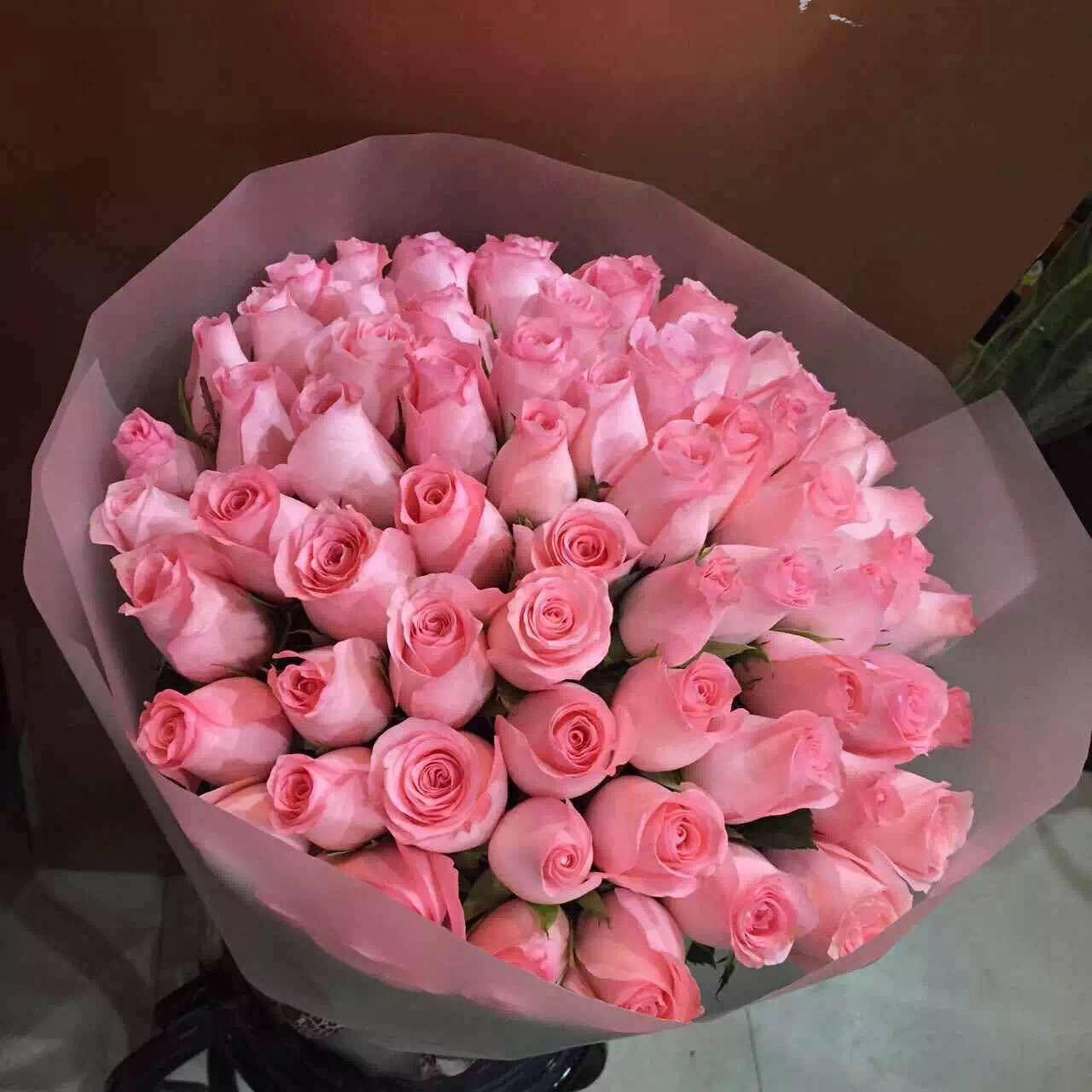 66朵粉玫花束