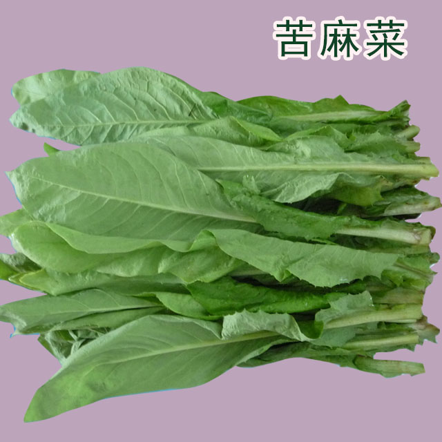 苦麻菜(500g/份)