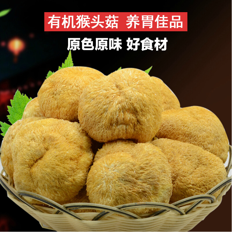 雪中王有机猴头蘑 东北野生猴头菌 小兴安岭特产猴头菌150g