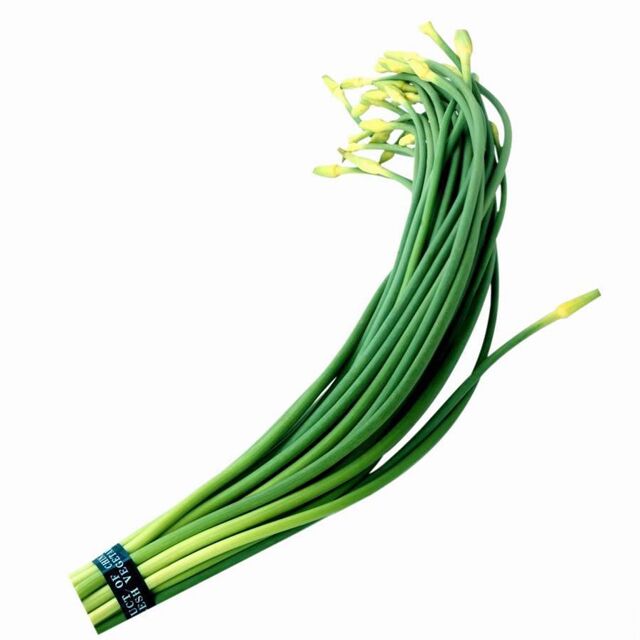 星空体育平台官网入口：最新版本发布体育爱好者的掌上乐园