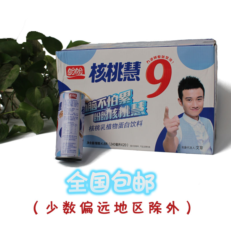 【特价正品】盼盼核桃慧 核桃奶植物蛋白饮料 补脑健脑 240ml*20