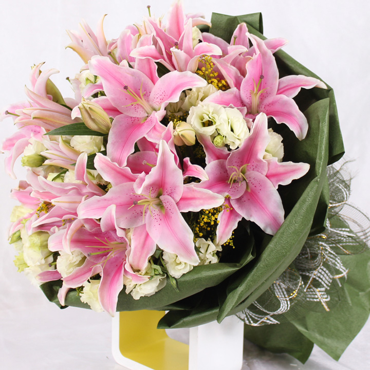 百合 索尔邦 粉色 - 花开时 flower time