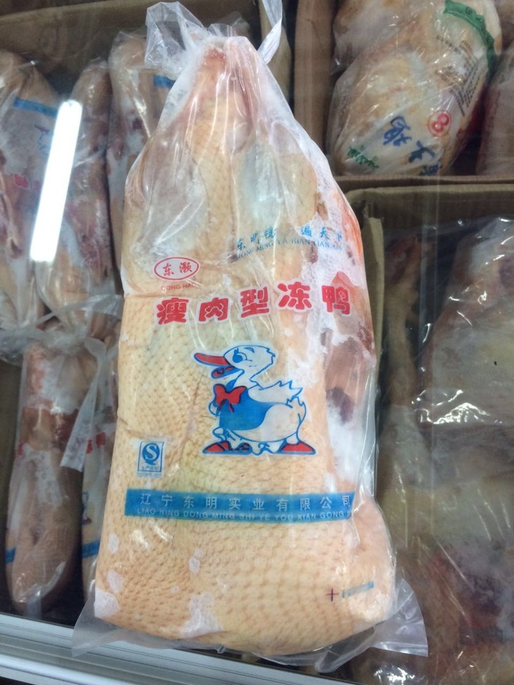 ͶѼ
