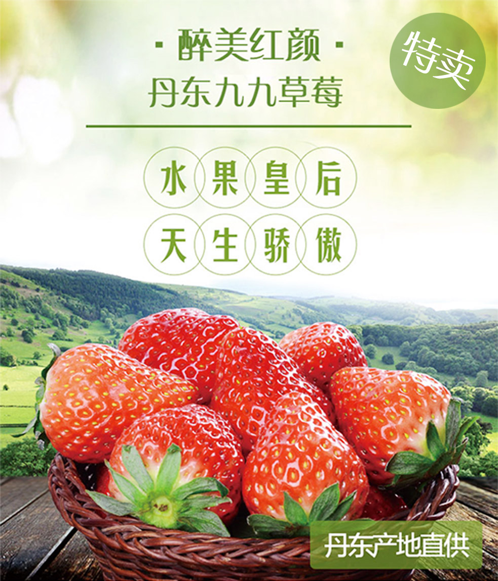 正宗丹东东港九九草莓直销