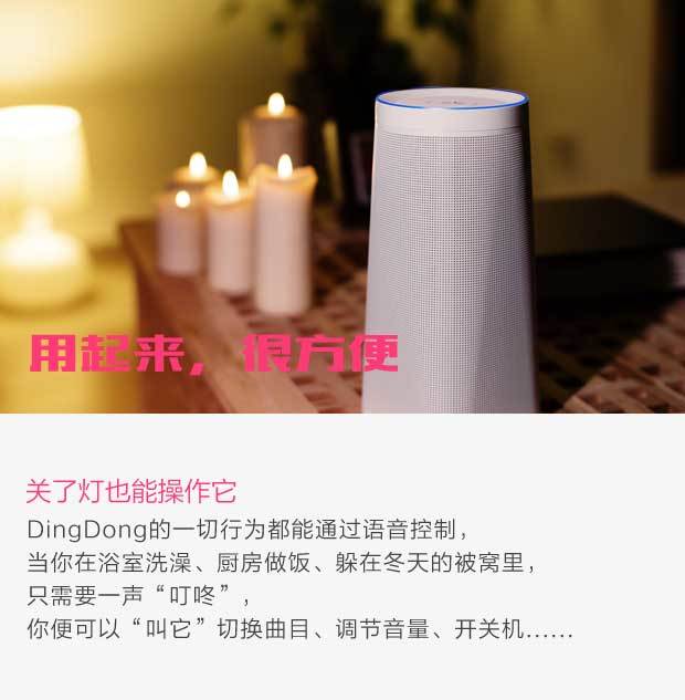 dingdong llss-a001 智能wifi音箱 音响 超级智能语音