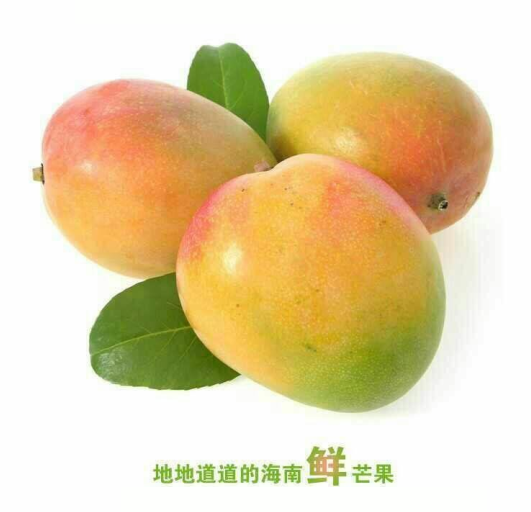 国产澳芒,原产地海南, 来自澳洲的品种,10或则11个每箱7kg左右批发价.