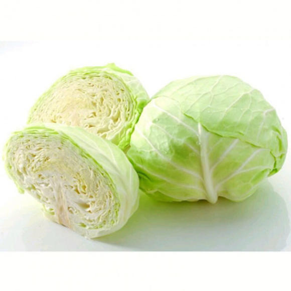包菜包心菜卷心菜