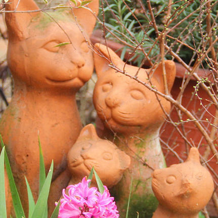 莫里斯花园园艺200511