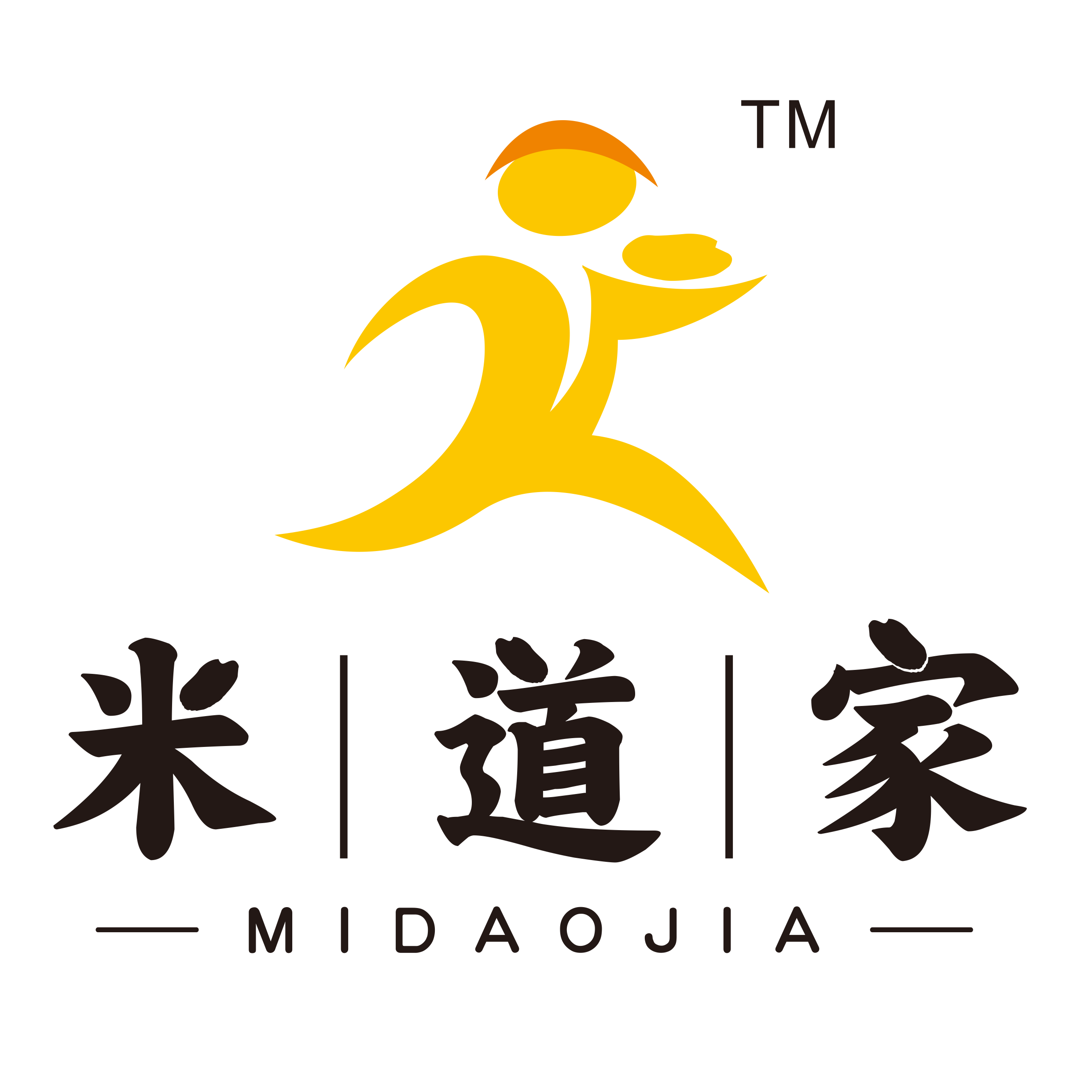 4袋东北大米稻花香10kg
