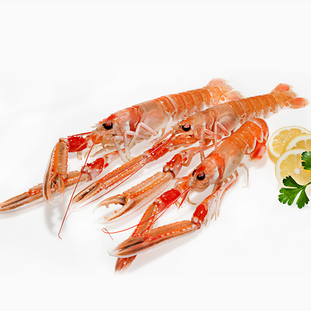 挪威海鳌虾 带壳整只 1kg/盒