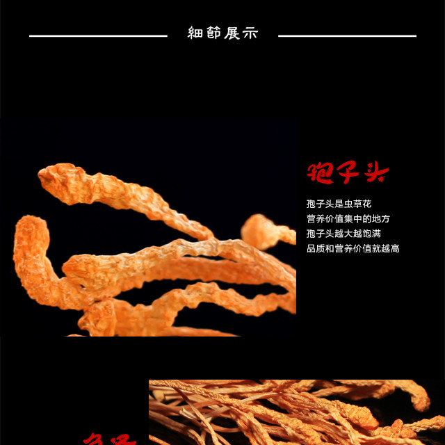 虫草花250g 虫草子实体 一级草