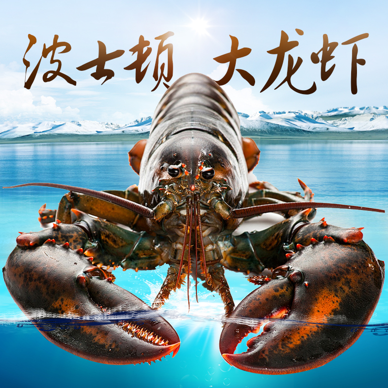 百年龙虾,鲜活进口波士顿大龙虾