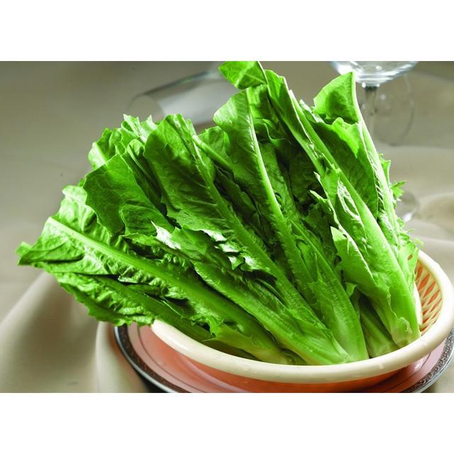 油麦菜 - 一点香火锅城北路店