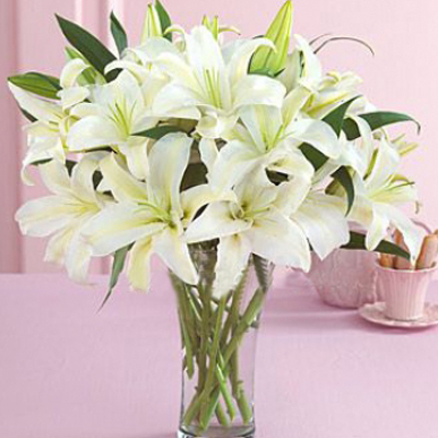 商品详情 花材:9朵白色香水百合 包装:简单包装(无花瓶) 津卉花喜