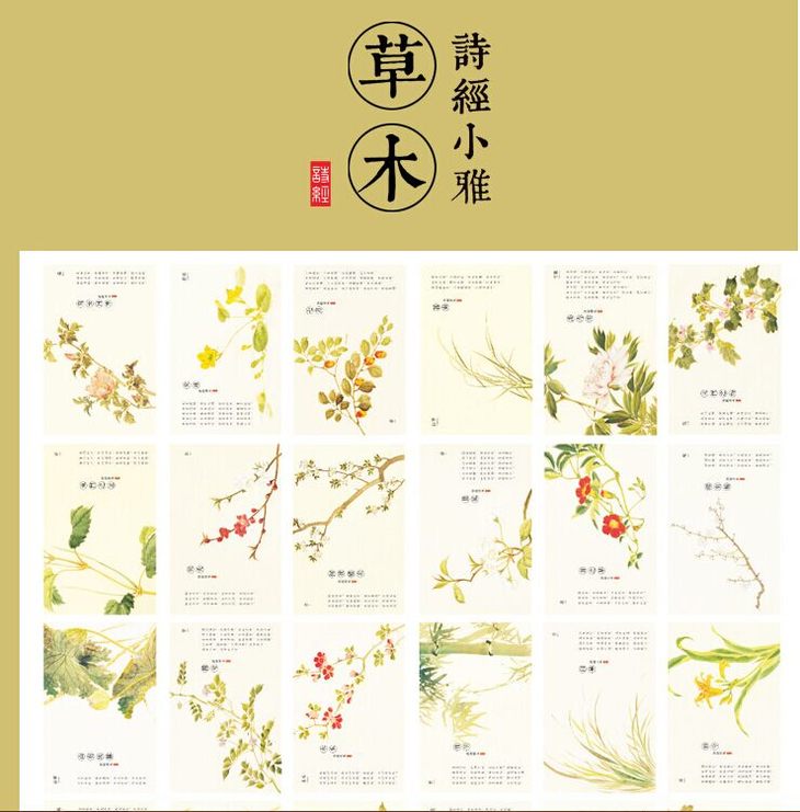 草木诗经 复古明信片30张盒装手绘古风植物