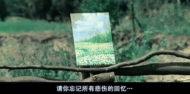 谈到雏菊,肯定要说一说全智贤主演的同名电影《雏菊》.