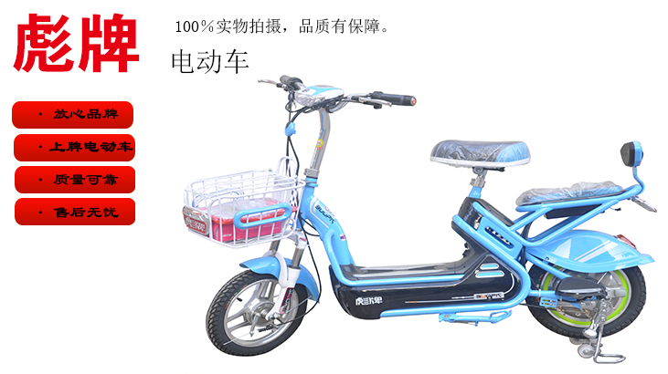 长沙电动车/长沙上牌电动车/彪牌电动自行车/长沙市送货上门