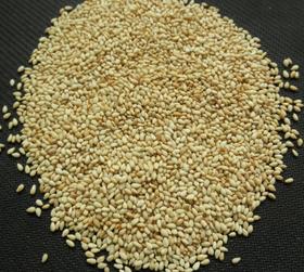 熟白芝麻（5斤装）